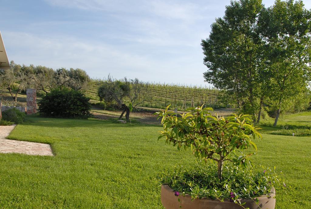 Agriturismo Arte Et Agricoltura Tuscania Kültér fotó