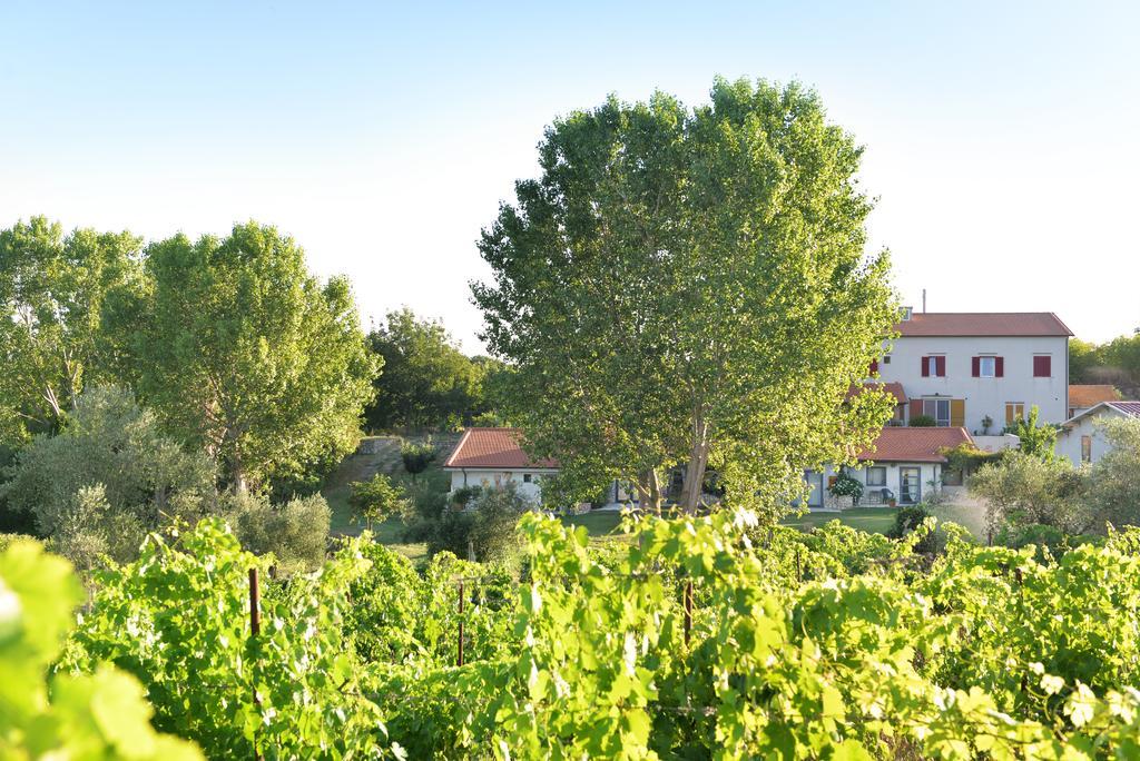 Agriturismo Arte Et Agricoltura Tuscania Kültér fotó