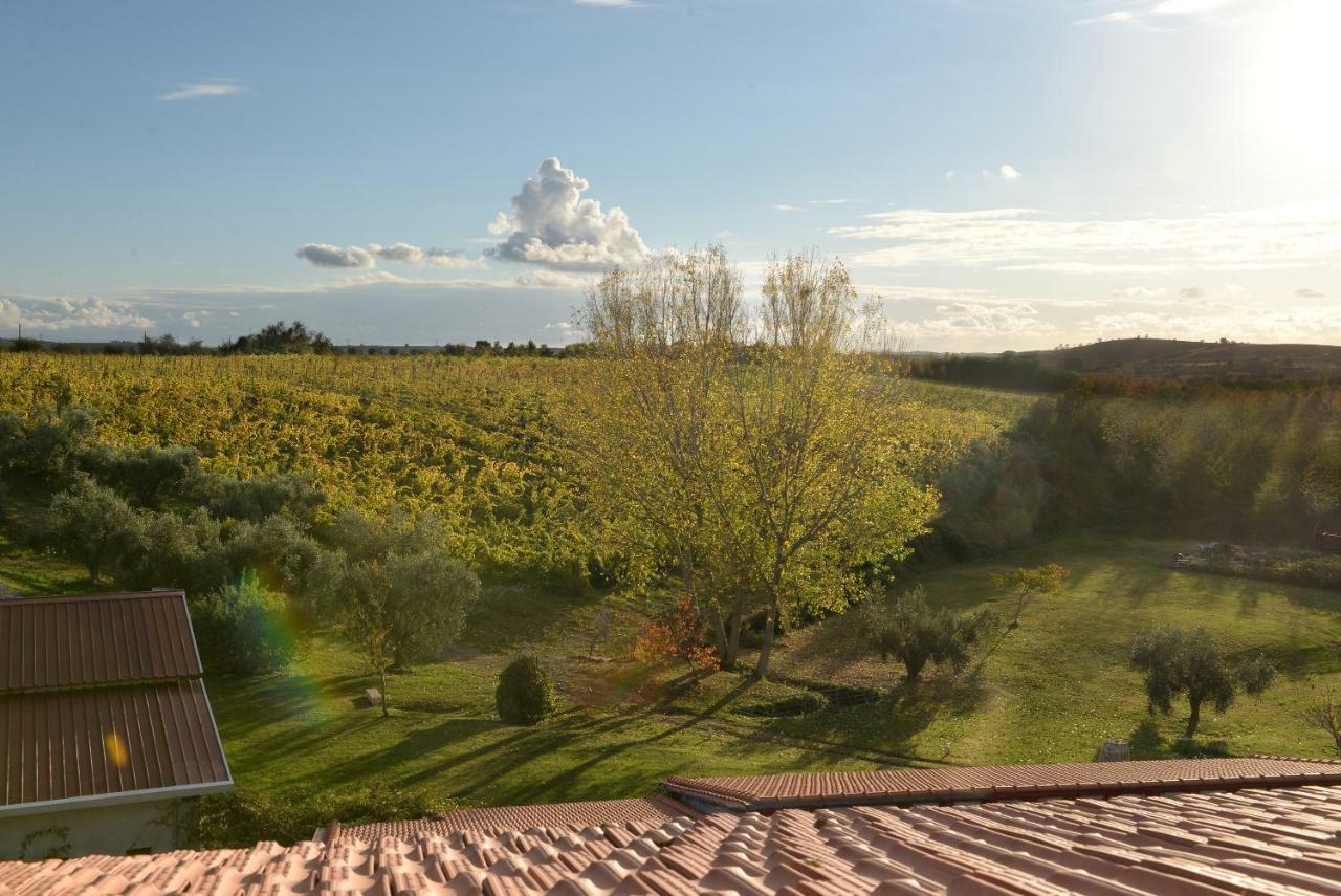 Agriturismo Arte Et Agricoltura Tuscania Kültér fotó